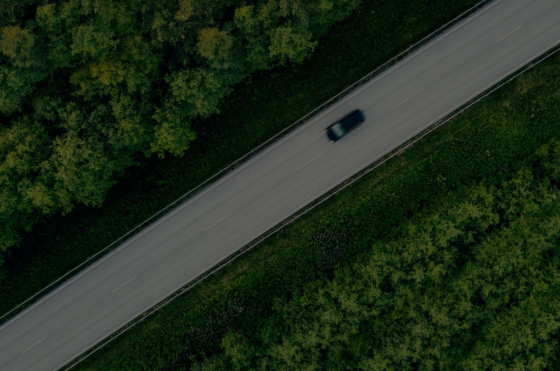 Vista dall’alto di un’auto su una strada tra i boschi